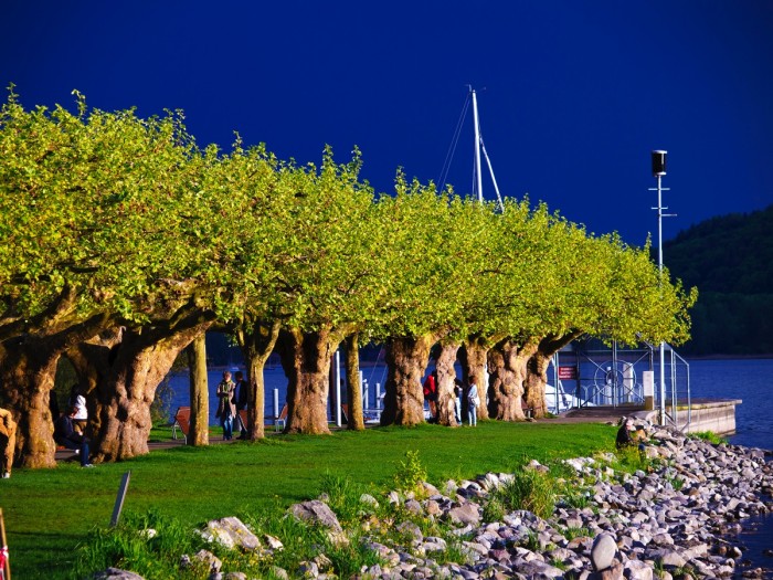 Radolfzell_CDC_Startstudy